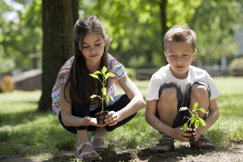 Екологічний проект «Молоде покоління за чисте довкілля!»