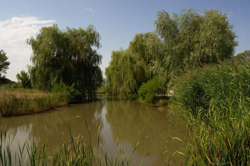 А це просто штучна водойма.
