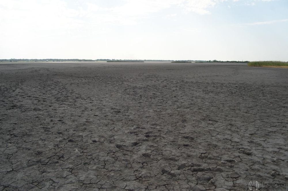 Напевно, у західній частині озеро глибше, бо там ще є вода.