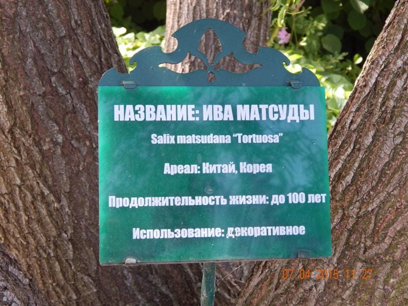 межигірря