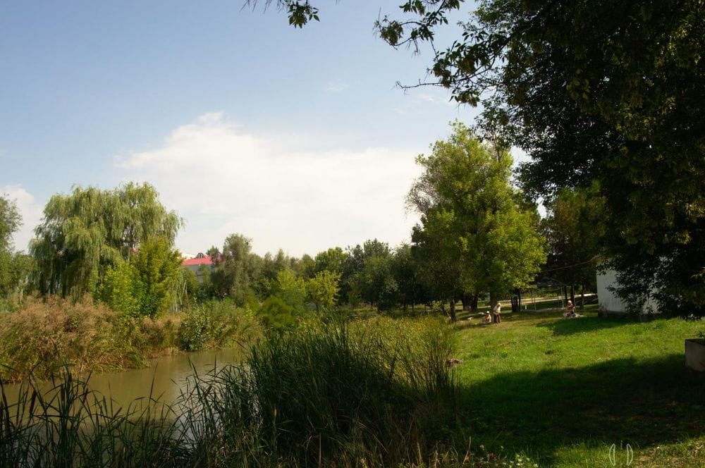 Люди приходять сюди полежати на траві, позасмагати.