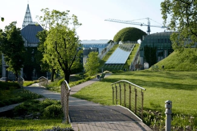 park-2