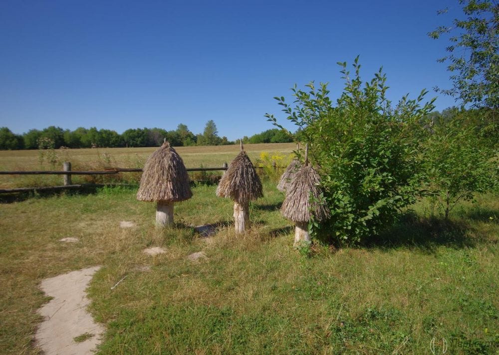 Пасіка.