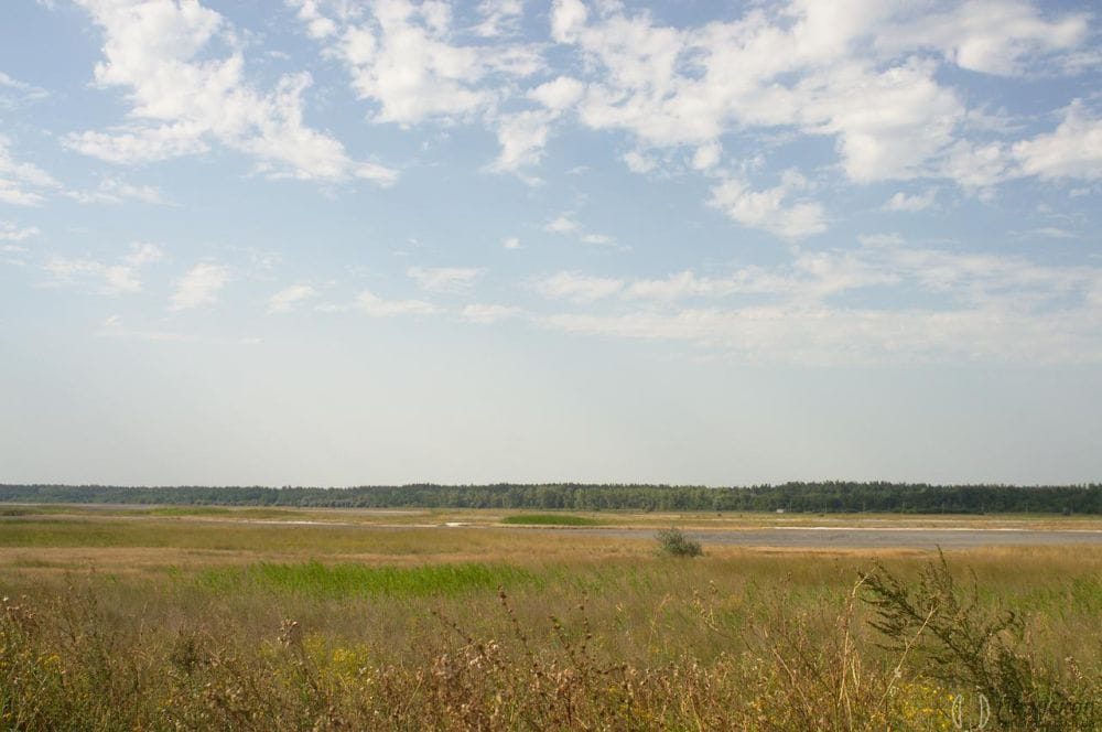 Підходжу до лиману, зайшов із боку лікарні, і треба ще пройти лугом.