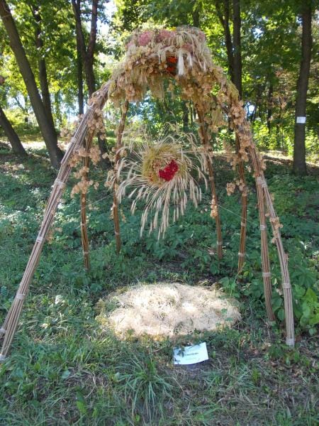 лоза