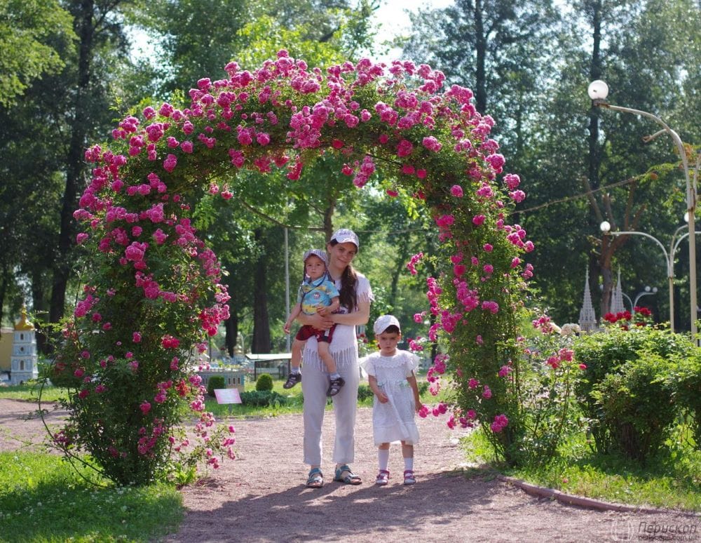 Арка квітів в парку мініатюр