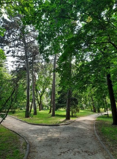 ПАРК АСМОЛОВА