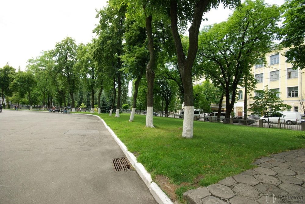 Володимирський собор алея