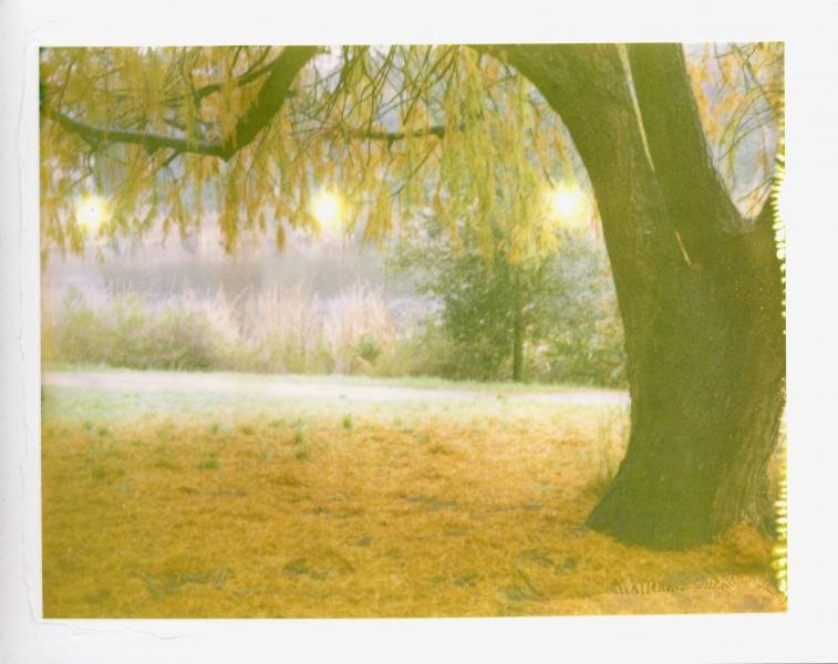 1963 - Polaroid створює першу кольорову плівку Polacolor.
