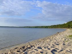 «Я хочу на озеро Світязь, в туман таємничих лісів…»