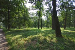 Дендропарк Олександрія. Фотоподорож