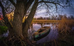 Світ творчості Бесарабського краю, або Загальнолюдське щастя для кожного