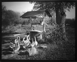 Фотовиставка під назвою «Метамодерн. Пошук досконалості» Андрія Котлярчука