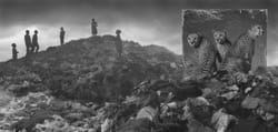 Фоторепортаж: місця проживання тварин