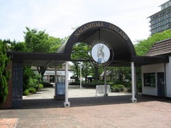 Парк Nagashima в Японії