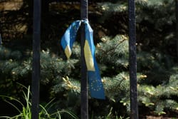 Це репортаж пам'яті про Небесну сотню.