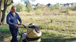 Дитячий сон на свіжому повітрі