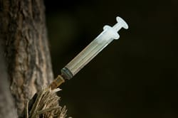Як починається наркоманія