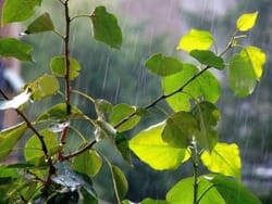 Як пережити різкі перепади температури?