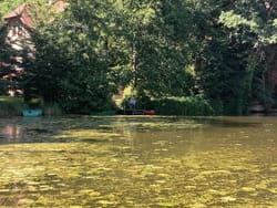 Мирна й безпечна вода:  віртуальні екскурсії для сімейного дозвілля