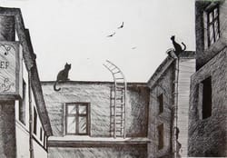 Міські коти