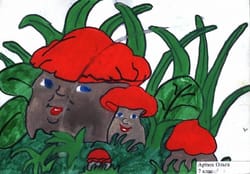 Грибочки-браточки