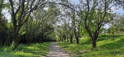Зустріч з лісом — цікава естафета знань