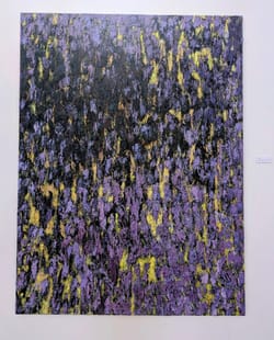 Виставка “DNO LASU”