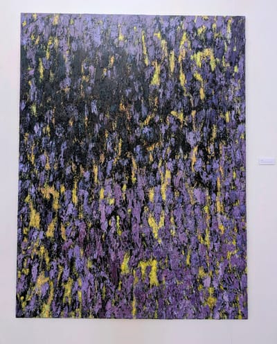 Виставка “DNO LASU”