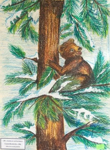 Не спиться ведмедику