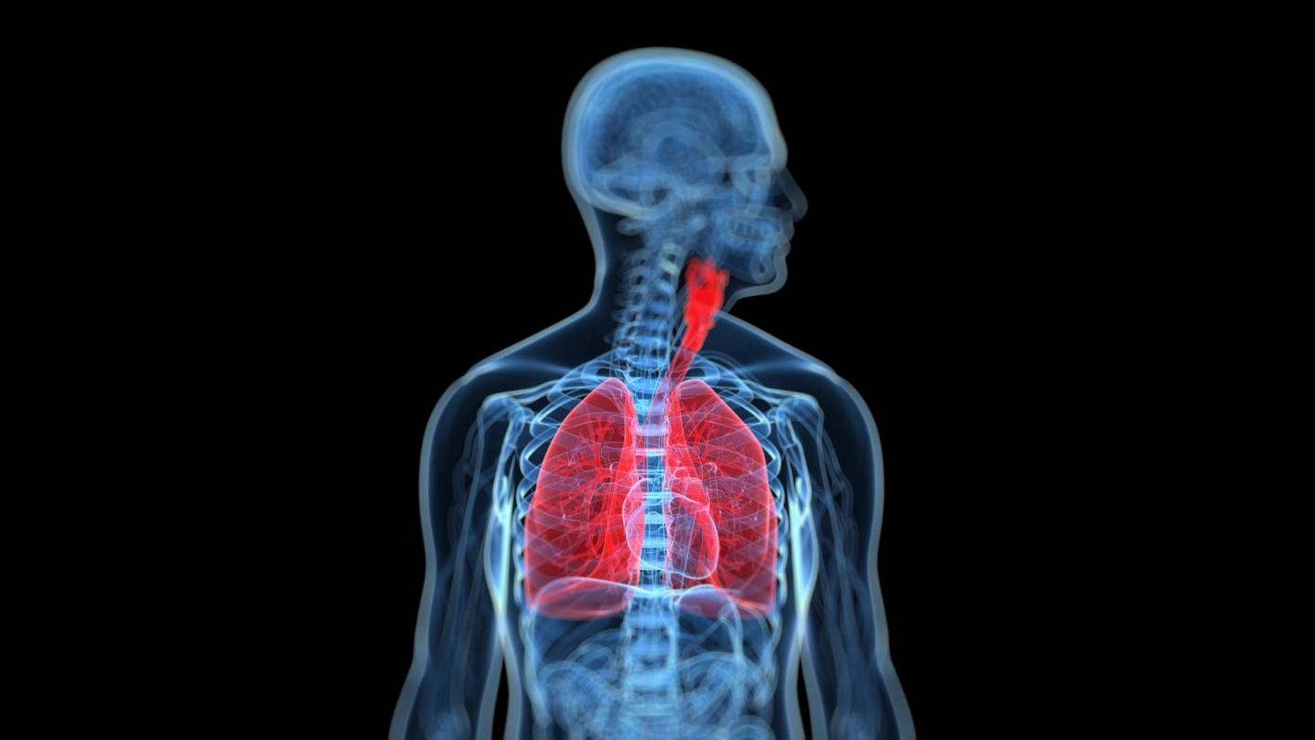 Захворювання, лікування та профілактика дихальної системи