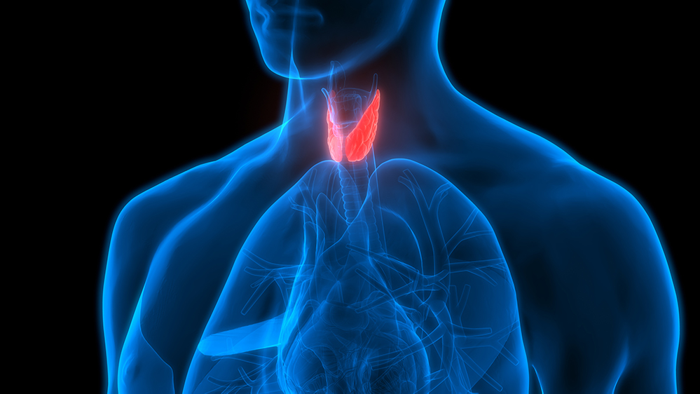 Щитовидна залоза. Чи вистачає вашому організму йоду?