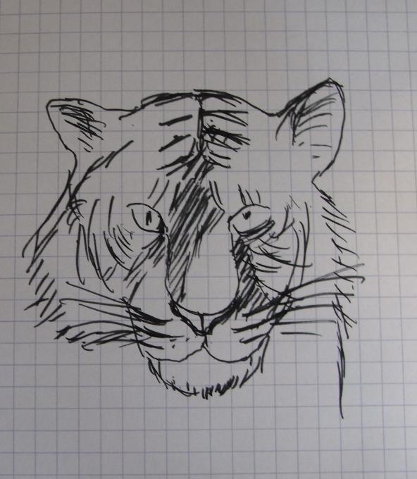 tiger4